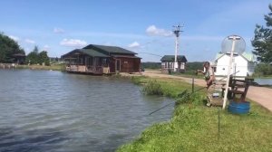 хороший клёв карпа на большом водоёме