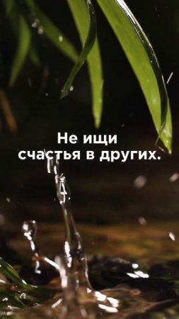 Не ищи счастья в других. #счастье #психология #мудрость #мотивация #успех #жизнь #саморазвитие