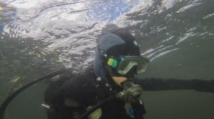 Уральские пельмени ныряют в Беларуси