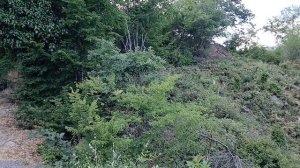 Участок 4.5сот. ИЖС. Голубой Залив. Симеиз.