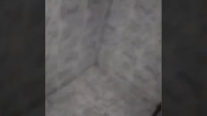 По дому  автора видео бегает маленький мальчик, но догнать он его не может.