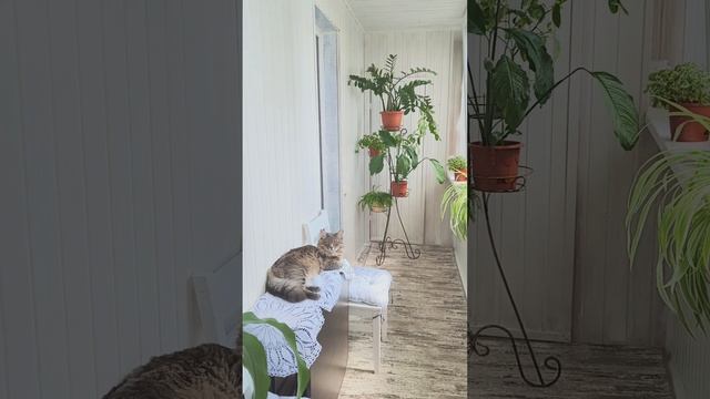 Обновлённый балкон