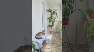 Обновлённый балкон