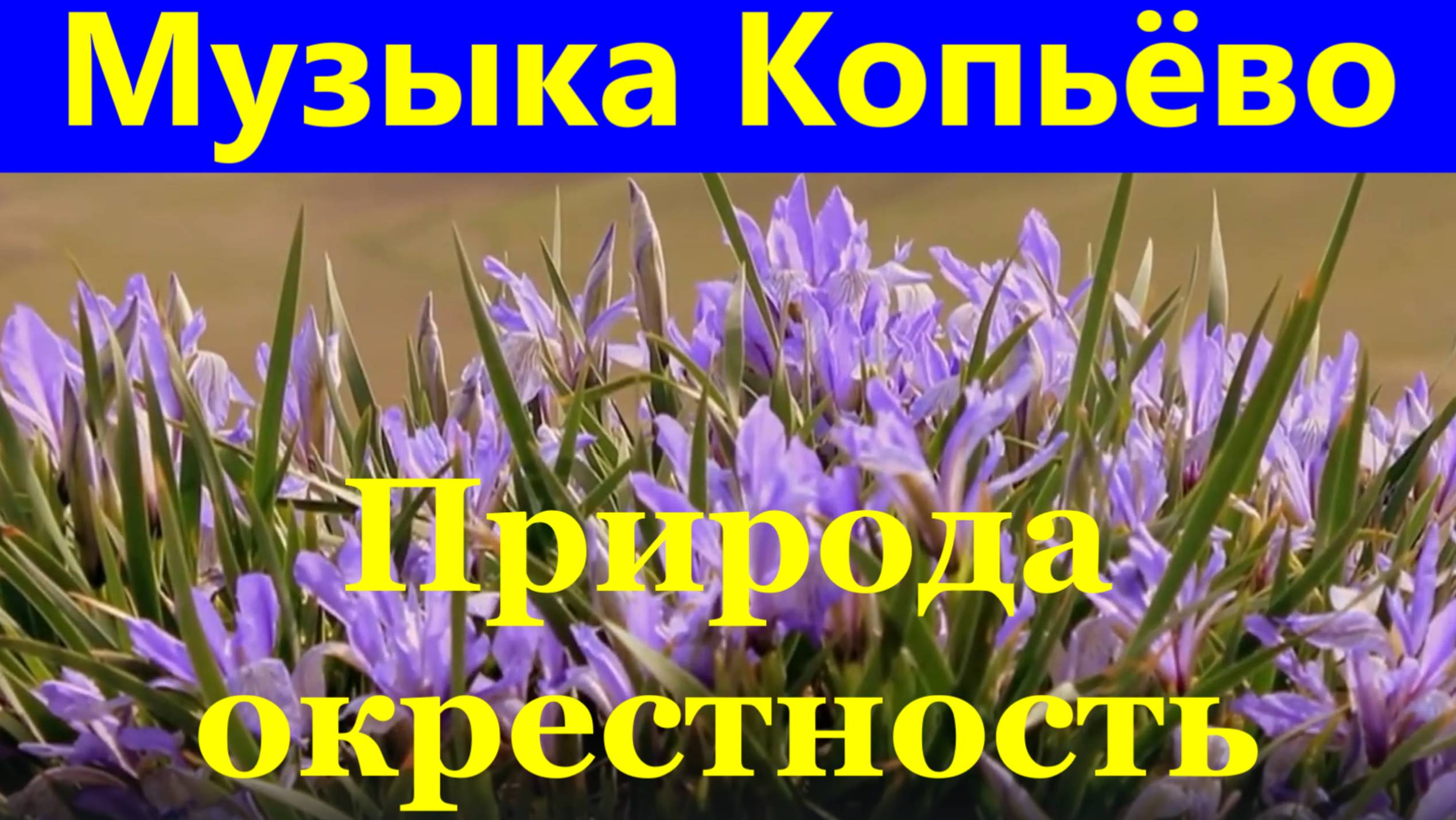 Музыка Копьёво Хакасия природа окрестность