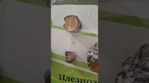 1000080295.mp4
