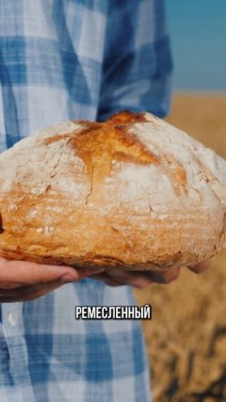 Хлеб: какой можно есть без вреда?