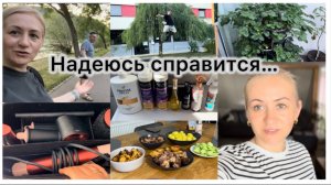 Готовим ✔️Шампиньоны в аэрогриле 🍄🟫 мой уход за волосами 💇♀️ первый раз надолго ✔️ откуда она
