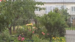 Всем, доброе, доброе утро!