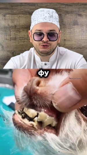 Обязательно прочитайте описание к ролику!