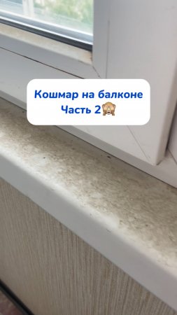 Кошмар на балконе