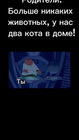 И так каждый раз