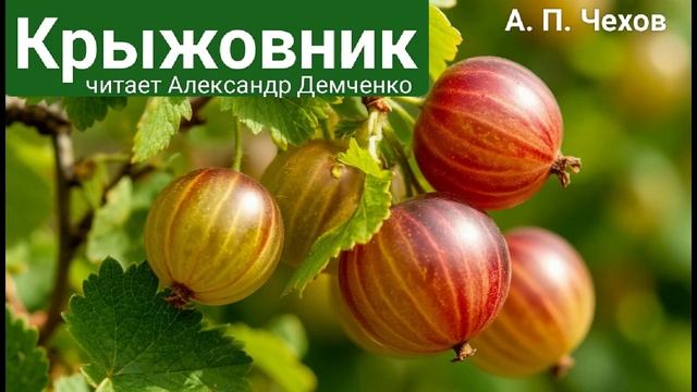 Чехов А. П. 