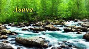 Авача