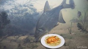 МОЩНАЯ АТАКА РАКА НА КАРАСЯ!!! Подводная съемка