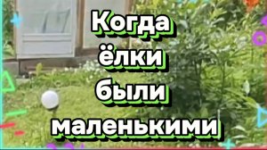Когда ёлки были маленькими: Время превращений! 🎄✨