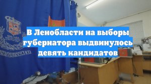 В Ленобласти на выборы губернатора выдвинулось девять кандидатов