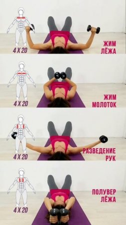 4 упражнения на грудные мышцы с гантелями