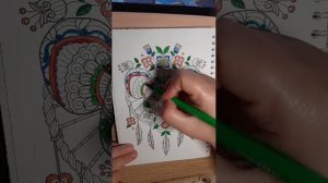 раскраска