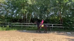 VID_20250703_131838_874.mp4.mov