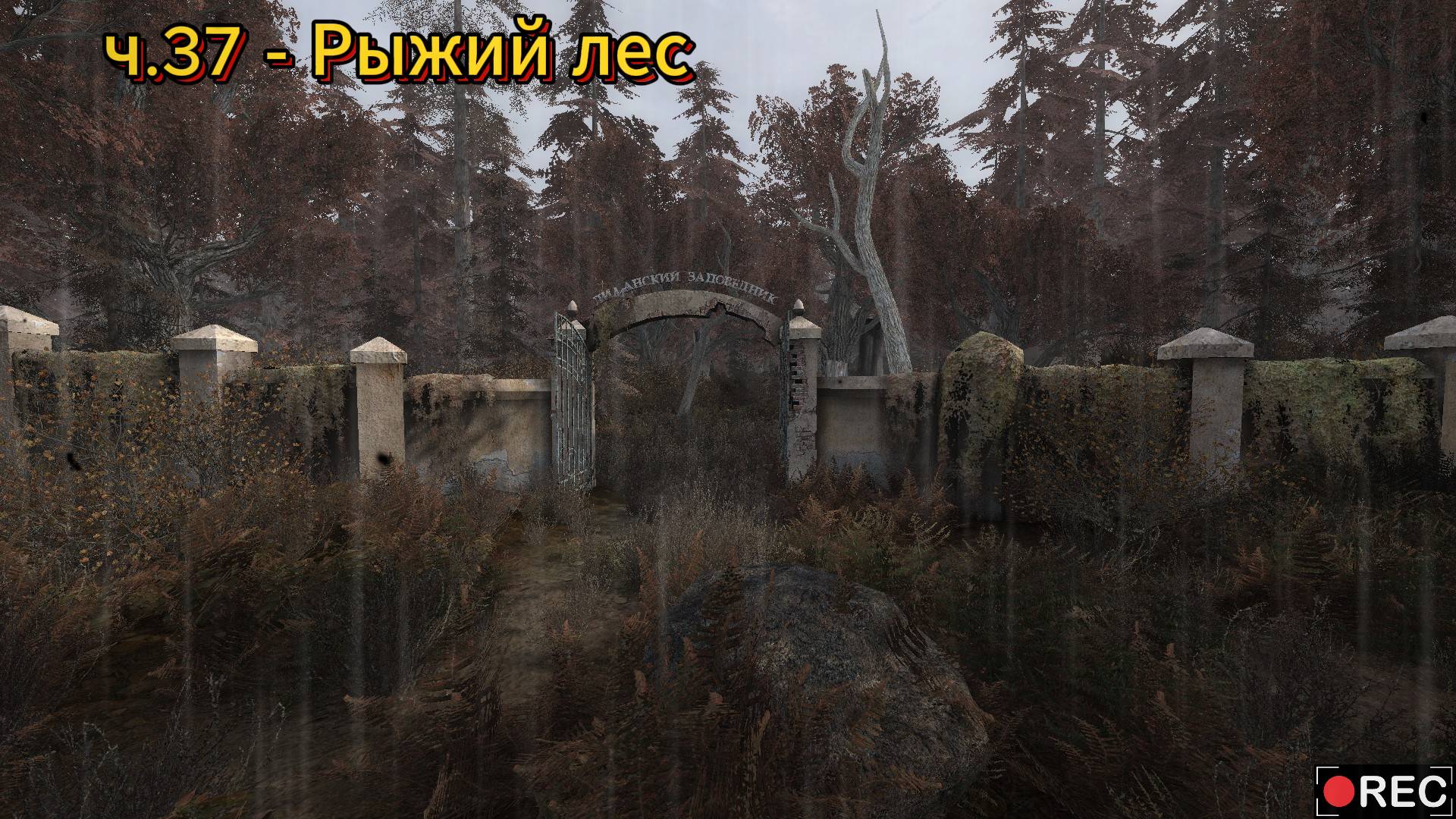 Сталкер 2 / S.T.A.L.K.E.R. 2 прохождение на русском | Рыжий лес | ч.37 смотреть онлайн
