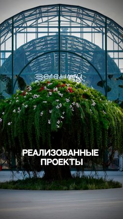 Реализованные проекты