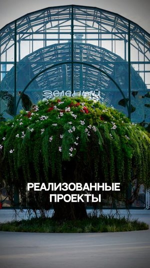 Реализованные проекты