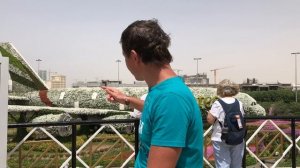 Участвуй в глобальном проекте. Психологический туризм.
