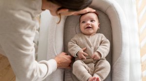 Кокон Inglesina Welcome Pod.