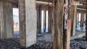 Пляж Чкаловский в Адлере. Сочи сегодня. Погода, море и пляж в Адлере в Июле. Обстановка на пляже