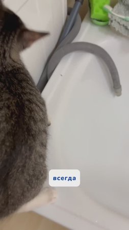 Как это?