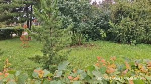 Июль, а народ в КУРТКАХ и ШАПКАХ