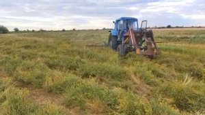 Отзыв клиента об АР195 на плотном травостое