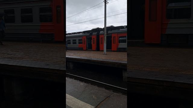 кософарик