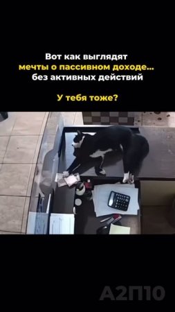 Мечты не работают. Работает дисциплина.