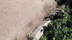 прошу агро малолеток больше не писать мне хейты потому что это бесмысленно