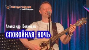 "СПОКОЙНАЯ  НОЧЬ" Александр Волкодав - "Гнездо глухаря" Питер 28.06.2025 #александрволкодав #голос