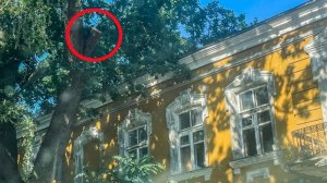 Николаев 4 июля 2025 года (новости)