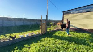 Немного не хватило! Куда нам столько? Стоит ли это делать? Жизнь простых людей в деревне.