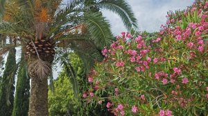 Абхазия, Гагра!