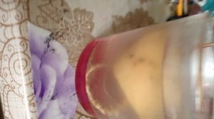 авакадо