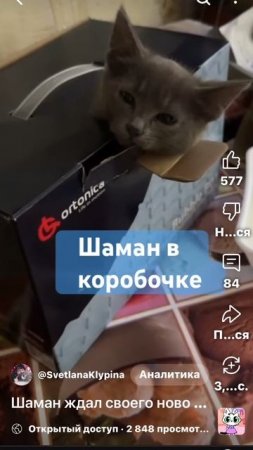 Шаман в коробке