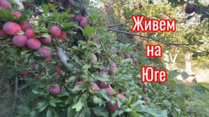 609ч🏡02.07.25-Любимый Василек//Генеральная уборка к приезду родных//Матрас пришел))Ст.Ивановская