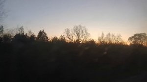 Долгожданная Поездка из Петербурга на Автобусе в Псковскую Деревню