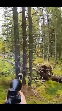 Ушел подранком? 🦌🎯