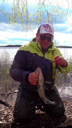 НА СЕКРЕТНОМ МЕСТЕ! #shorts #рыбалка #fishing #рыба #fish #эдвардкосичка #природа #nature #отдых