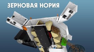 Нория зерновая