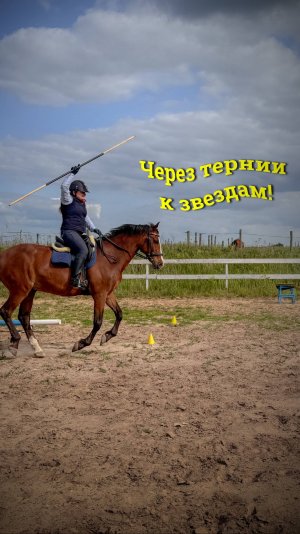 — Мать, что за муха тебя укусила?!