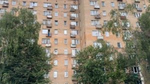 Мечникова 22