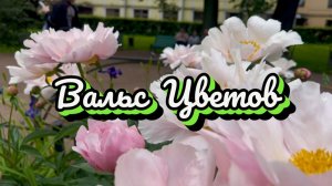 Вальс цветов, только пионы