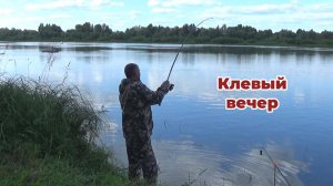 Это КЛЁВЫЙ Вечер! Рыбалка на Леща на Оке! Ночевка с Донками!